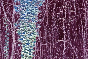 N 089B
